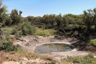 The Pecos River divides Crane and Pecos Counties in the Texas Permian Basin. In August 2023, much of the river had dried through the region.