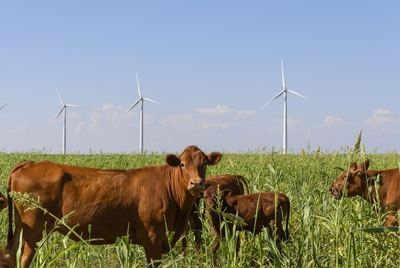 The McAdoo Wind farm provides power to the Cottonwood Substation near Afton, on Sept. 15, 2022. A smaller substation provides power to the Helios.