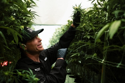 Texas Original Director of Cultivation Jason Sanders gives a tour of the business&amp;rsquo; facility on Sept. 26, 2024. Texas Original is Texas&amp;rsquo; first licensed medical cannabis distributor.