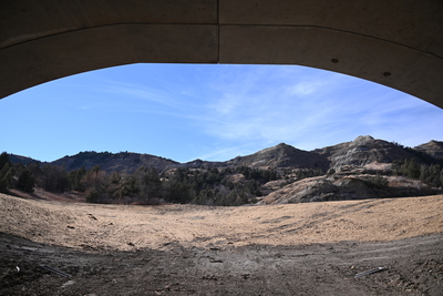 Comment sought on Highway 85 expansion through Badlands, bighorn sheep habitat