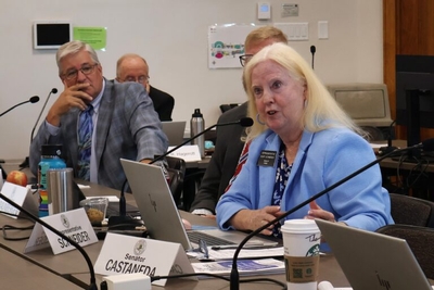 Costs, benefits of data centers take center stage at legislative meeting