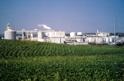 Cargill Blair