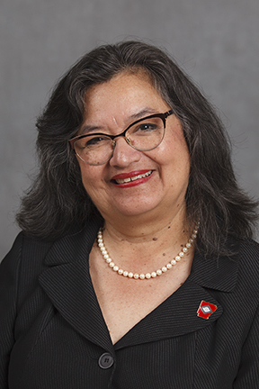 Freshman class of Arkansas lawmakers includes educators and ranchers