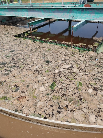 One of the Cummins-Varner Wastewater Treatment Plant clarifiers, which is clogged with waste in this undated photo pulled from a March 2025 Department of Corrections PowerPoint presentation.