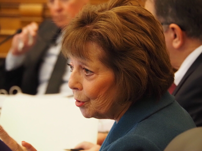 ‘Paid protester’ lobbying bill advances to Senate floor with ‘substantial’ edits expected