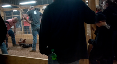 Feds take on Kentucky cockfighting with multiple indictments