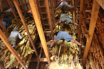 Men stand on rails inside the barn feet above the ground.