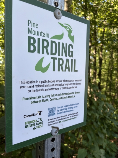 A sign featuring information about the trail.