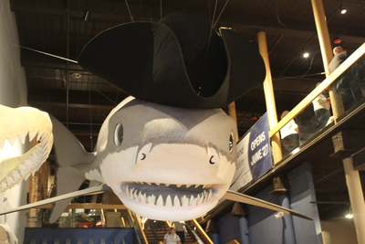 State Museum debuts exhibit highlighting SC’s role in Revolutionary War