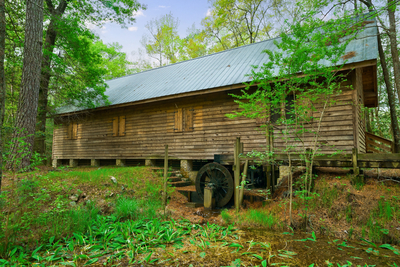 SC estate with ties to slavery, circus and governors could next become a state preserve