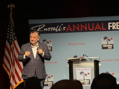 Republicans make plea for unity following ‘hurt feelings’ in US Senate contest