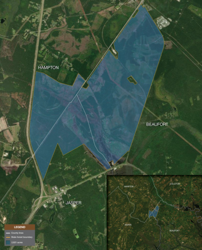 ‘Cause for celebration’: SC opens 7th state forest