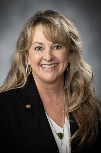 Team tasked with reviewing WV child deaths notes number of child suicides in initial report