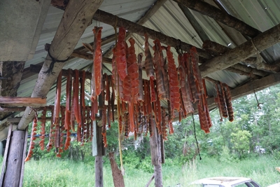 After historic crash, Yukon River’s iconic king salmon run shows early signs of rebound