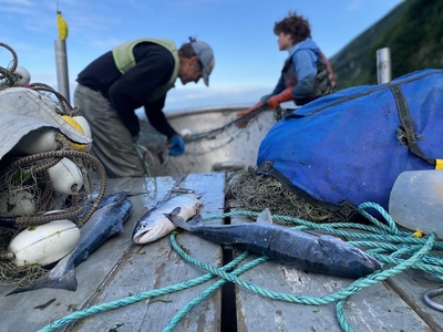Inside one of Alaska’s national parks, a fight looms over a possible gold mine