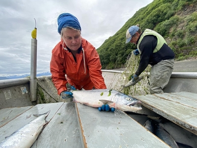 Inside one of Alaska’s national parks, a fight looms over a possible gold mine