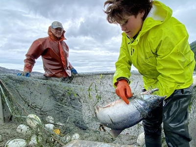 Inside one of Alaska’s national parks, a fight looms over a possible gold mine