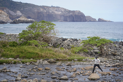 Maui Invasive Species Committee field crew Liam Andersen crosses the Waihe‘e River after checking for little fire ants on the opposite side of the Waihe'e Coastal Dunes and Wetlands Refuge Tuesday, Jan. 13, 2026, in Waihee-Waiehu. (Kevin Fujii/Civil Beat/2026)