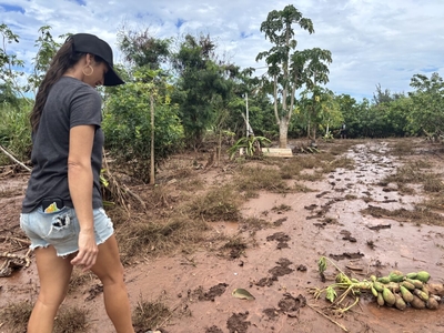 Neglected North Shore Plantation Waterways Fueled Damaging Floods