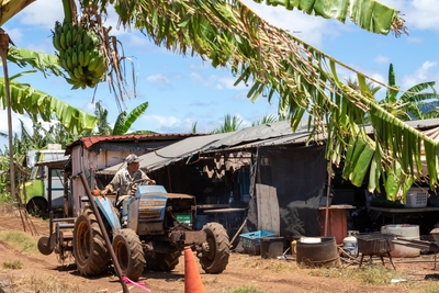 As Flood Aid Trickles Out For North Shore, Southeast Asian Farmers Are Left Behind