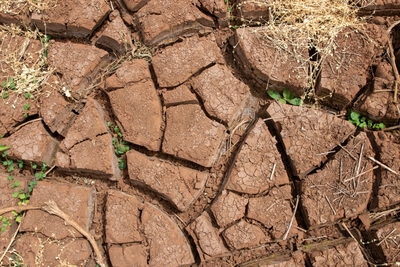 As Flood Aid Trickles Out For North Shore, Southeast Asian Farmers Are Left Behind