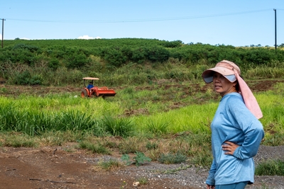 As Flood Aid Trickles Out For North Shore, Southeast Asian Farmers Are Left Behind