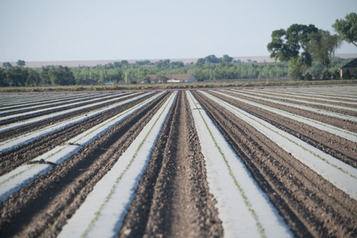 Colorado farming is a multibillion dollar industry â so why are so many residents going hungry?