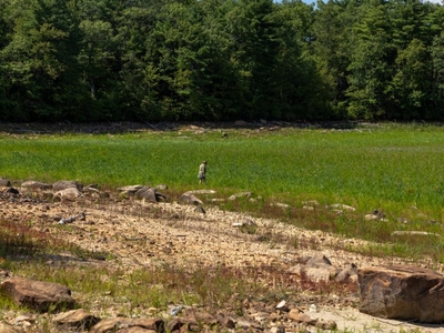 A dam owner drained this secluded pond. Connecticut state officials wants it restored