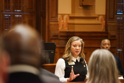 Lawmakers speaks from the Georgia House of Representative well.