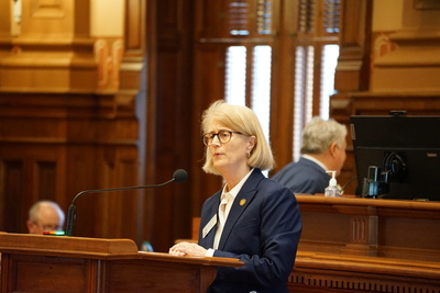 Bill allowing Georgia property owners to sue over homelessness, immigration clears House