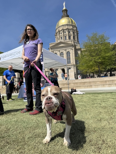 Woof! Animal welfare advocates want Georgians to know their state lawmaker’s record on pet issues