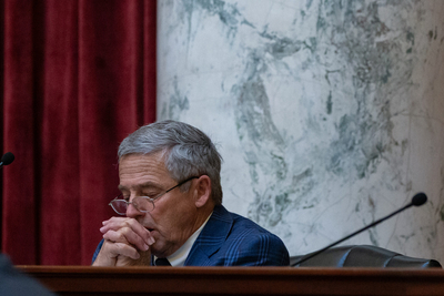 Sen. Jim Guthrie, R-McCammon, on the Idaho Senate floor on March 25, 2024.
