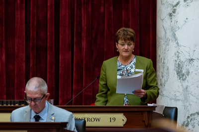 Sen. Melissa Wintrow, D-Boise, stands to debate on the Idaho Senate floor on March 25, 2024.
