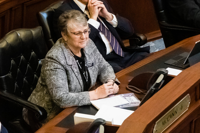 Idaho Rep. Lori McCann. R-Lewiston,