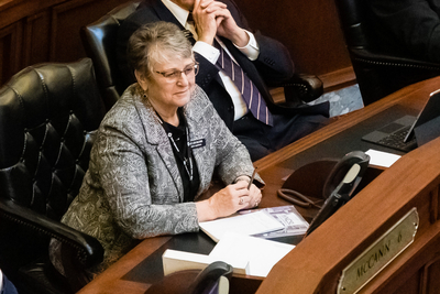 Idaho Rep. Lori McCann. R-Lewiston,
