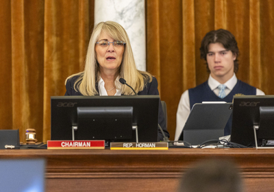 Joint Finance-Appropriations Committee co-chairwoman Wendy Horman, R-Idaho Falls,