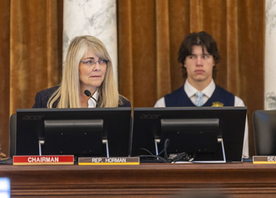 Co-chairwoman Wendy Horman, R-Idaho Falls,