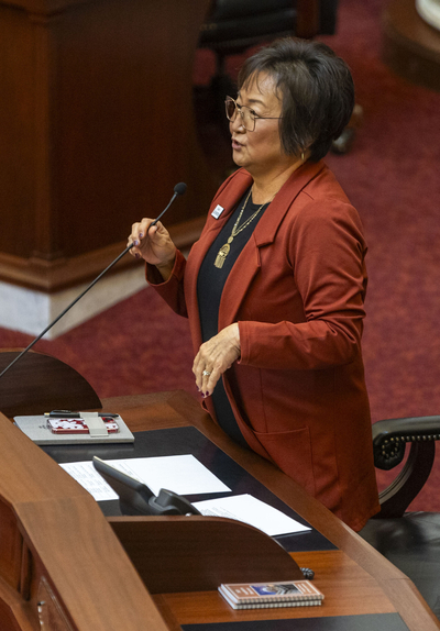 Idaho state Sen. Julie VanOrden, R-Pingree, works from the Senate floor