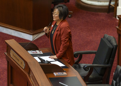 Idaho state Sen. Julie VanOrden, R-Pingree, works from the Senate floor