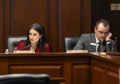 Sen. Camille Blaylock, R-Caldwell, asks a question during the Senate Health and Welfare Committee hearing