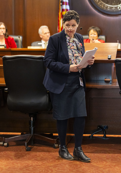 Christine Pisani, executive director of the Idaho Council on Developmental Disabilities,
