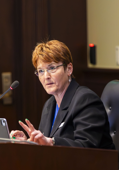 Sen. Melissa Wintrow, D-Boise, asks a question during a Senate Health and Welfare Committee