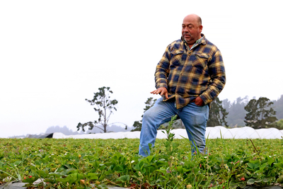 Javier Zamora, owner of JSM Organics