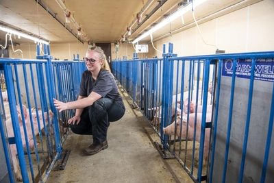 The National Pork Board gives more grant money than any other checkoff. Critics say it favors Big Pork.