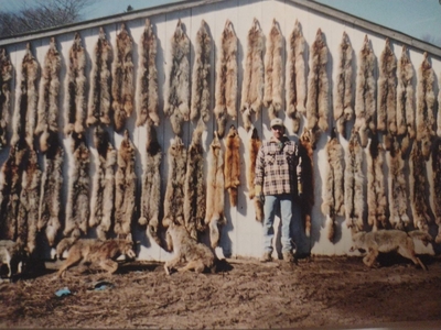 DNR says furbearer populations ‘in good shape’ leading into season opener