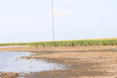 Iowa groundwater monitoring expands to all 3rd District counties with federal funds