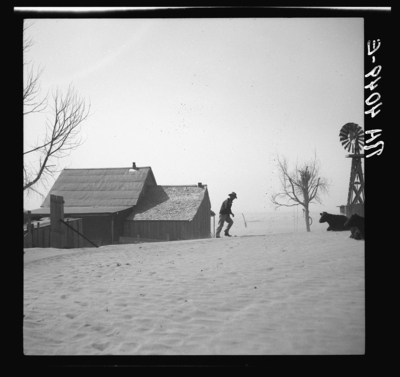 The Dust Bowl of the 1930s wiped out Midwestern farmers and prompted a mass migration.