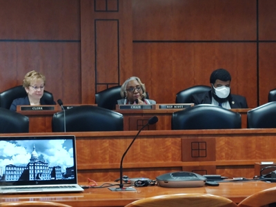 At House hearing, DTE and Consumers Energy urged to address ‘unacceptable’ electrical reliability