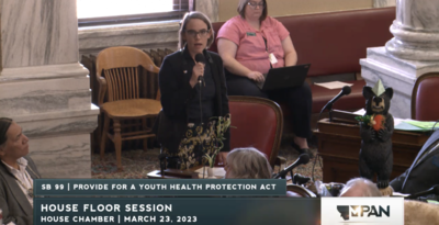 Rep. Emma Kerr-Carpenter, D-Billings, directly addresses people watching Thursday's hearing on SB99 online.