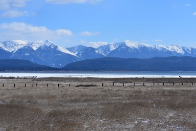 Montana Highway Patrol terminated trooper who requested mental health support